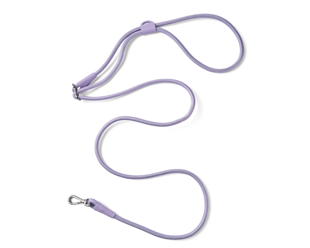 Hands-Free Leash + Poop Bag Holder Bundle Set