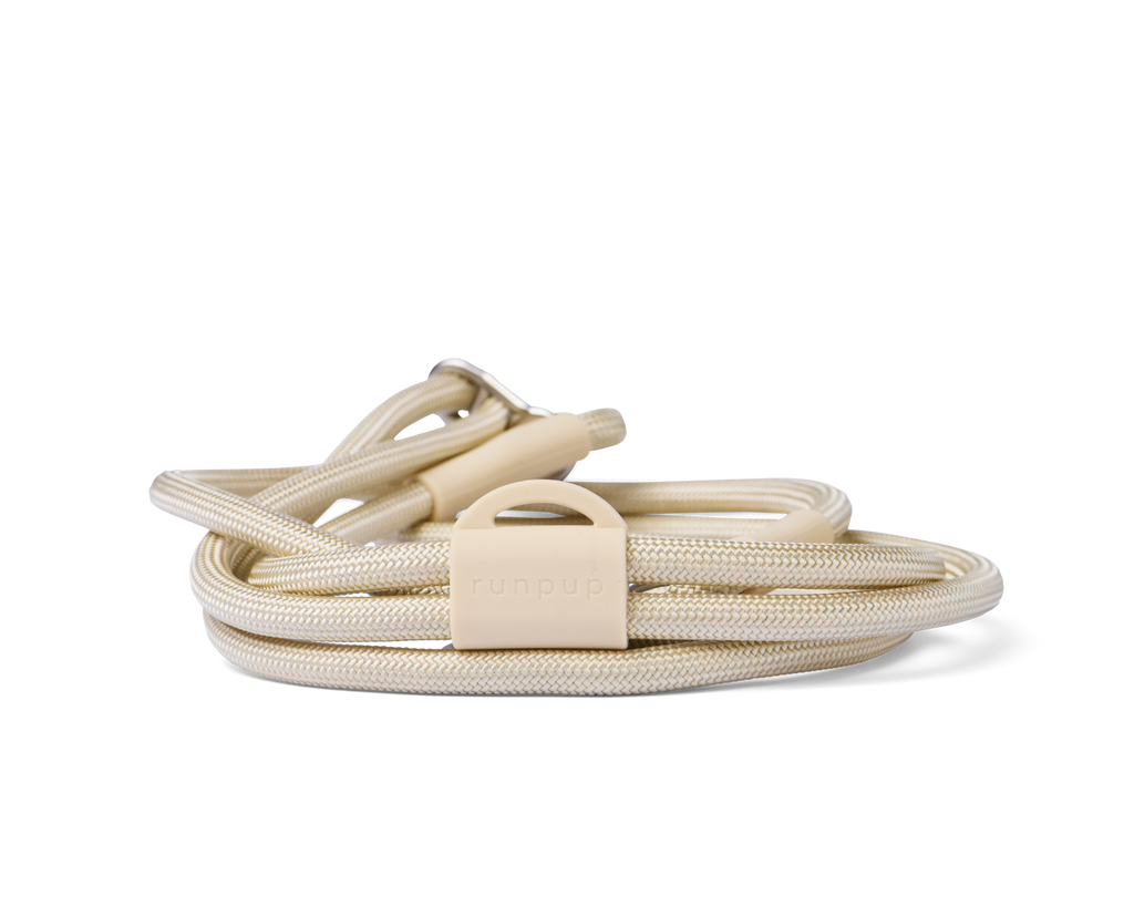 Hands-Free Leash + Poop Bag Holder Bundle Set