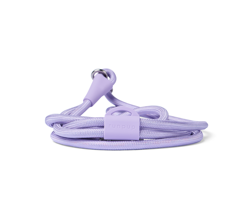 Hands-Free Leash + Poop Bag Holder Bundle Set